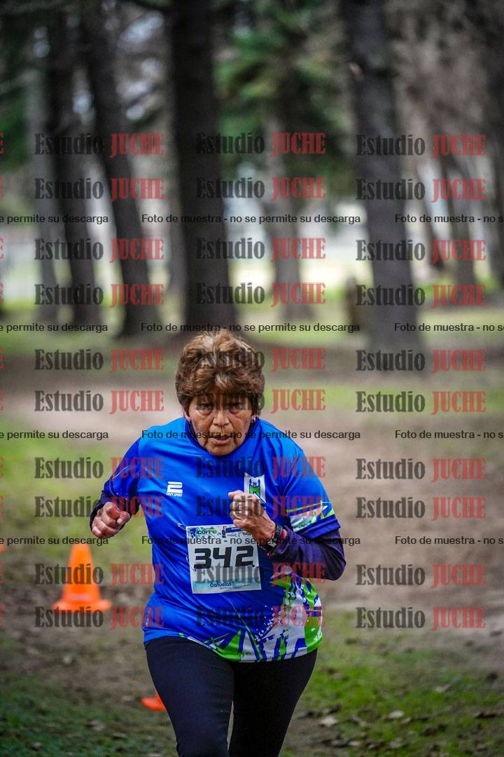 Fotos en el circuito