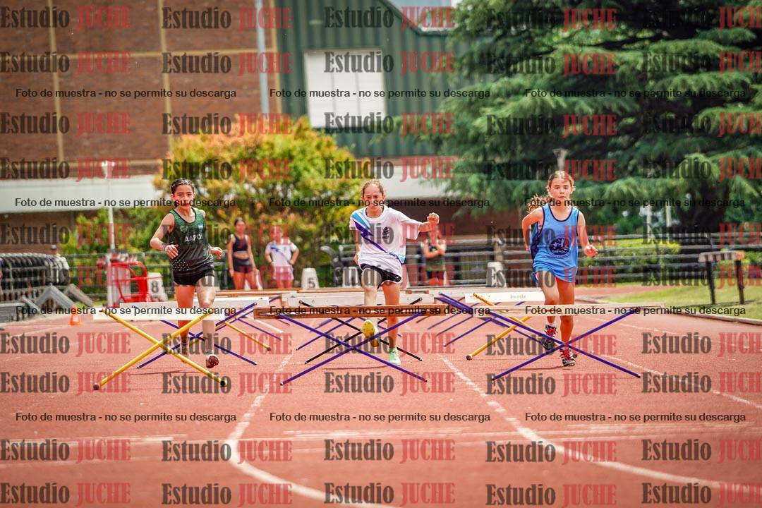 Fotos de los 60 m con vallas de mujeres