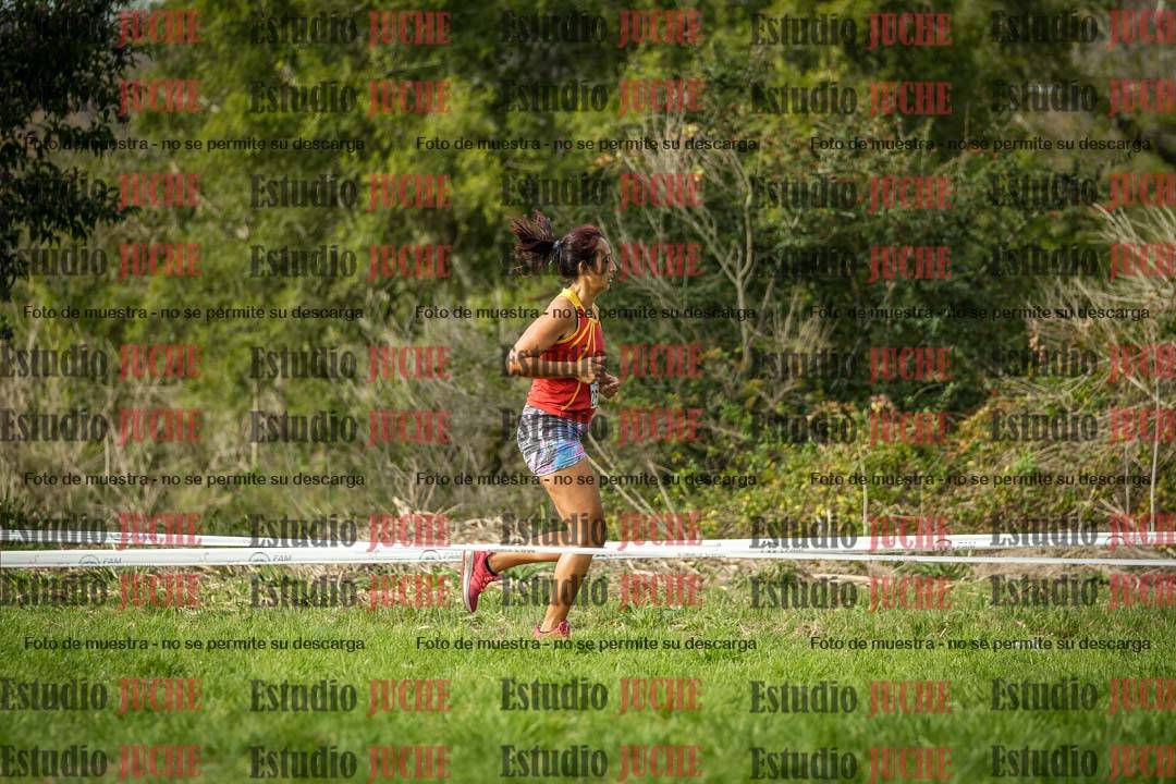 Fotos en el circuito