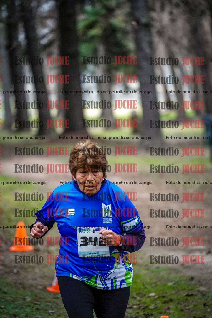 Fotos en el circuito