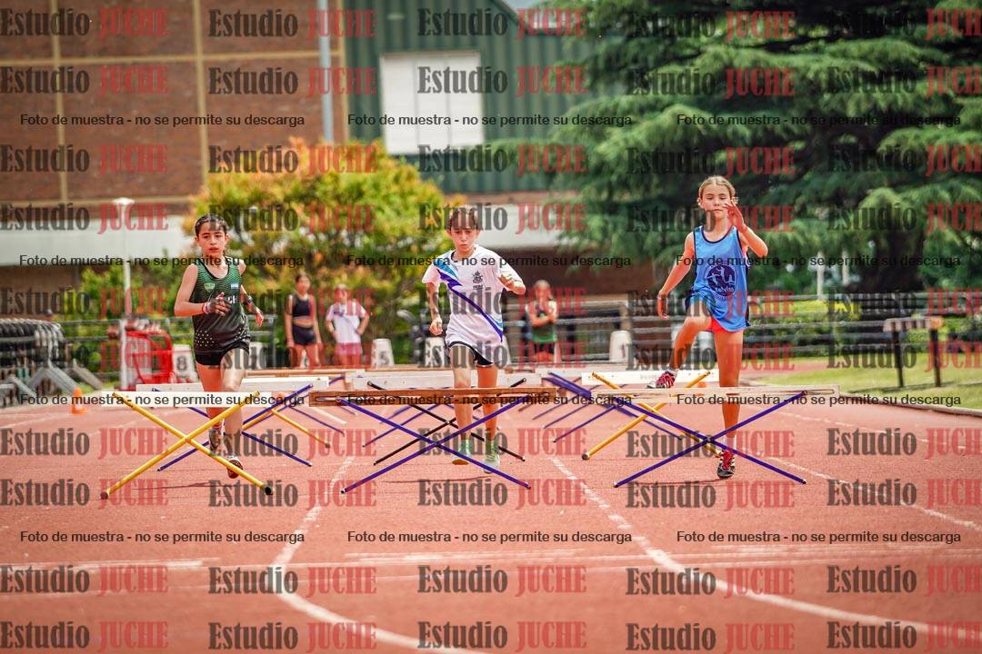 Fotos de los 60 m con vallas de mujeres