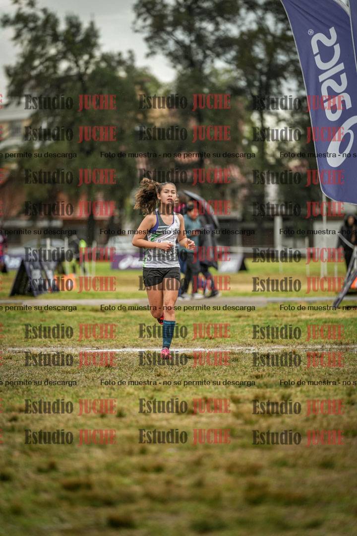 Fotos de la llegada