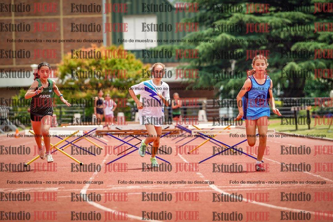 Fotos de los 60 m con vallas de mujeres