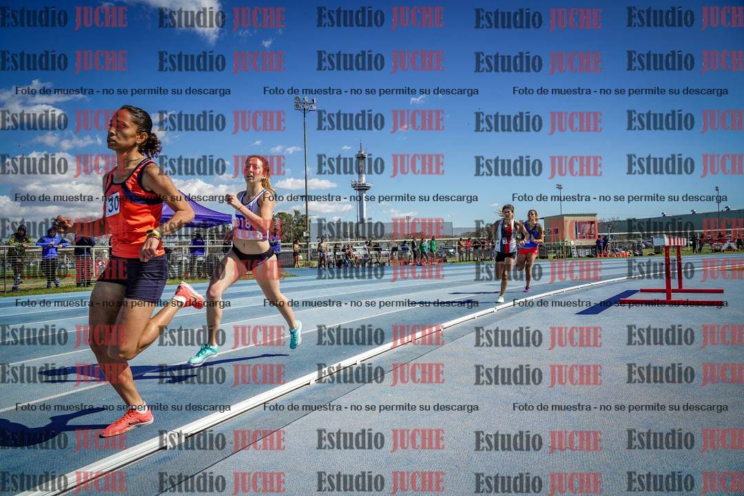 Fotos de los 800 m llanos de mujeres