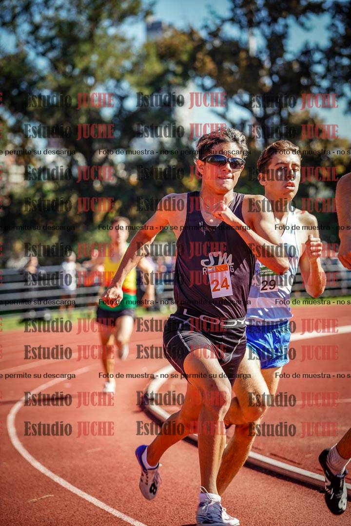 Fotos de los 800 m llanos de varones
