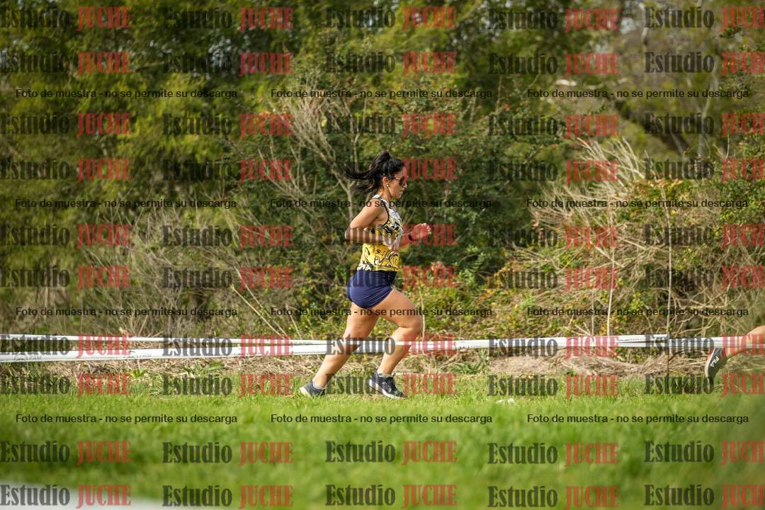 Fotos en el circuito