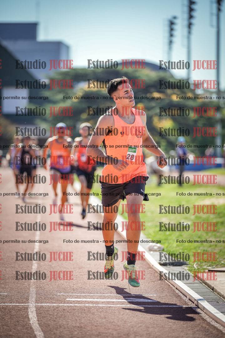 Fotos de los 800 m llanos de varones