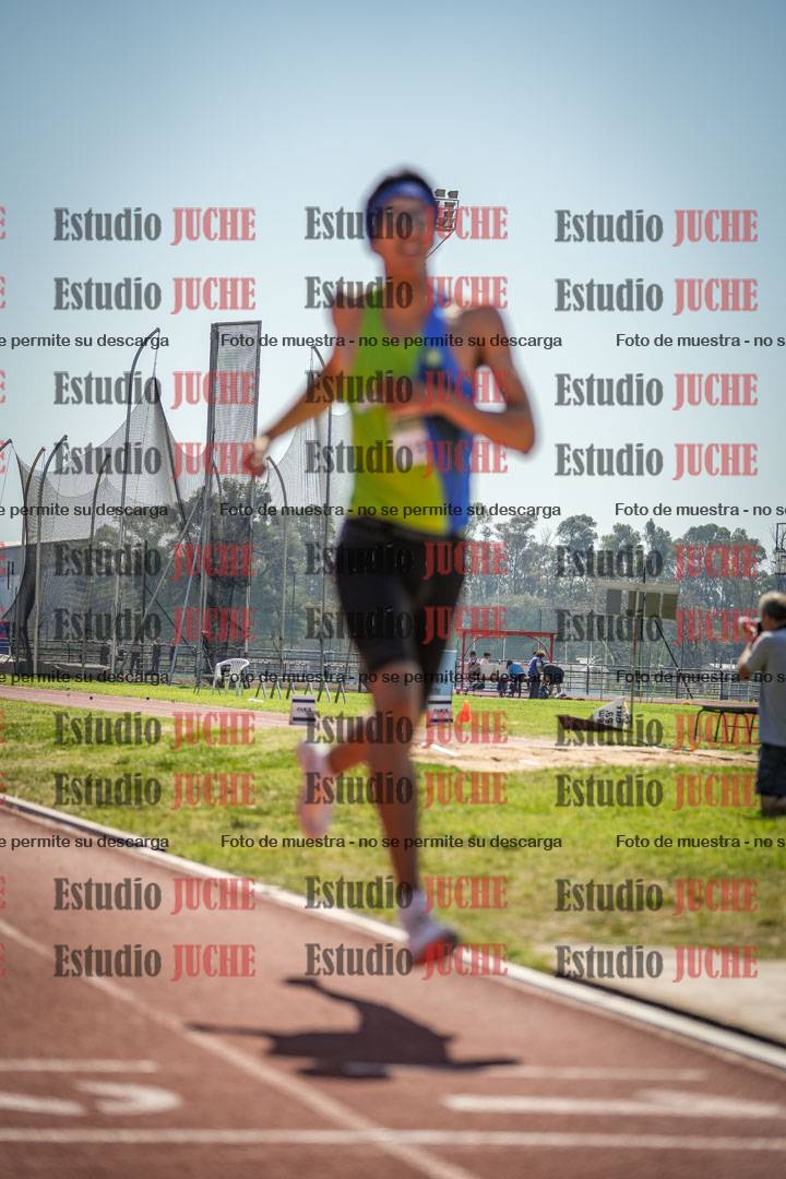 Fotos de los 800 m llanos de varones