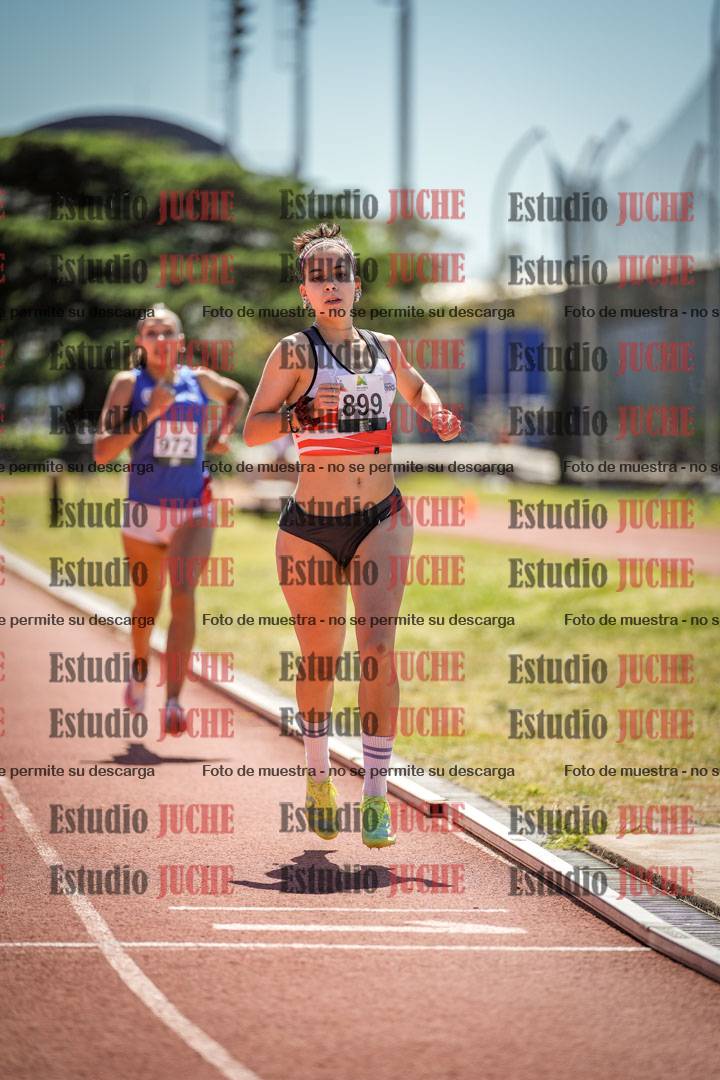 Fotos de los 800 m llanos de mujeres