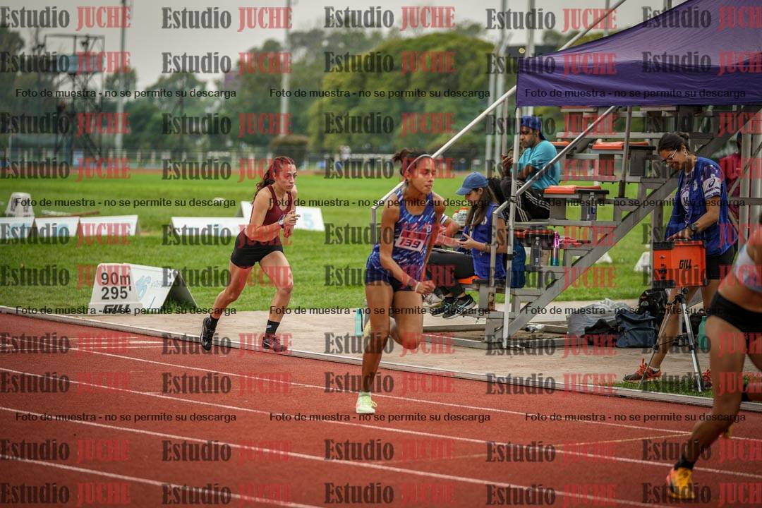 Fotos de los 800 m llanos de mujeres