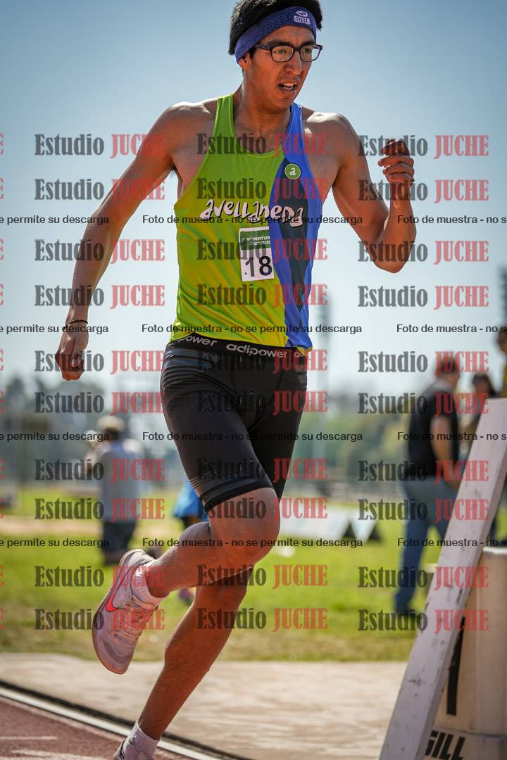 Fotos de los 800 m llanos de varones