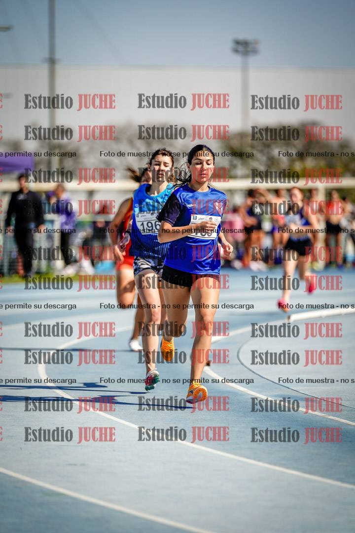 Fotos de los 800 m llanos de mujeres