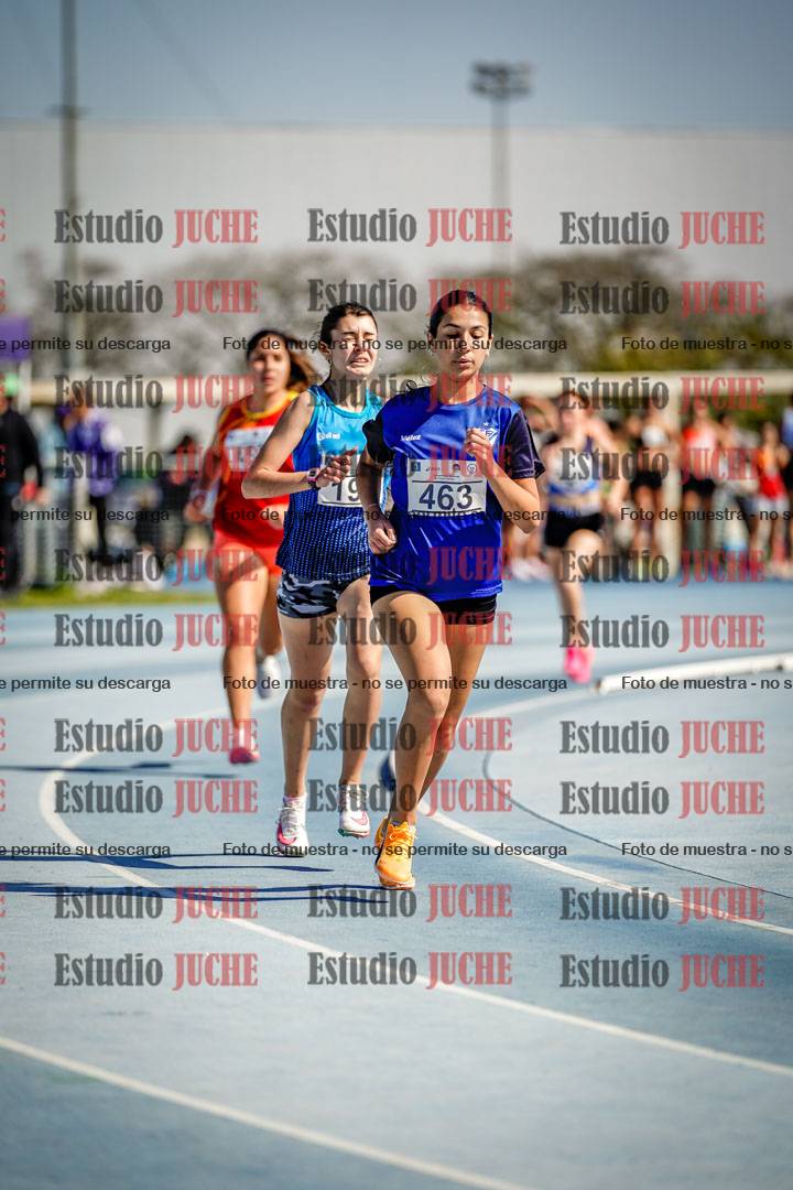 Fotos de los 800 m llanos de mujeres
