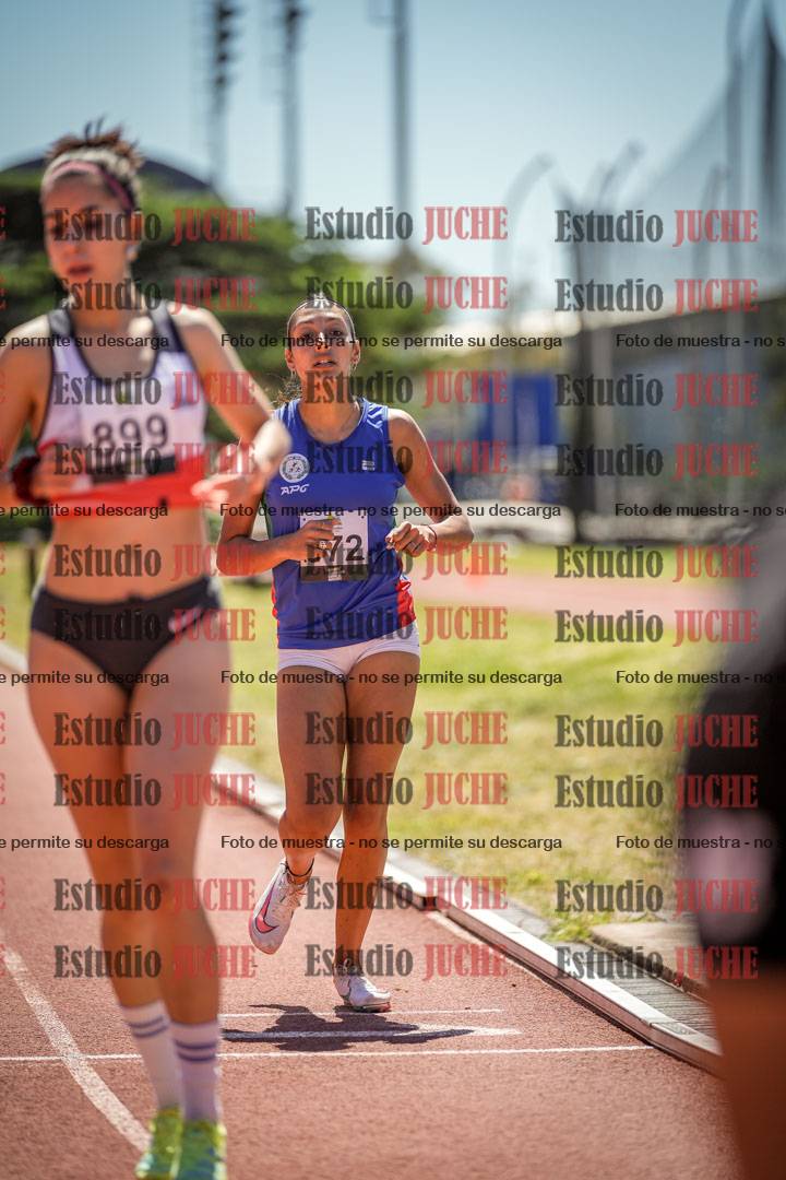 Fotos de los 800 m llanos de mujeres