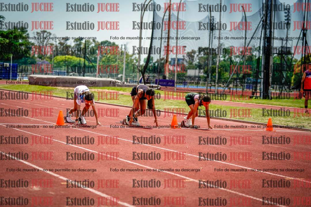 Fotos de los 60 m con vallas de mujeres