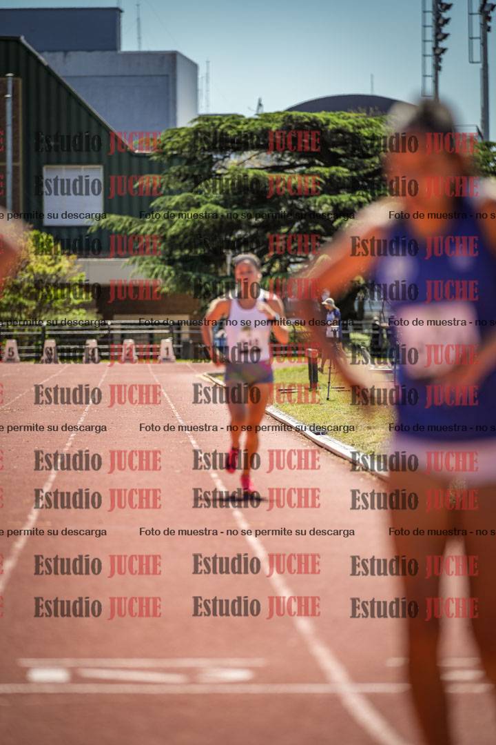 Fotos de los 800 m llanos de mujeres