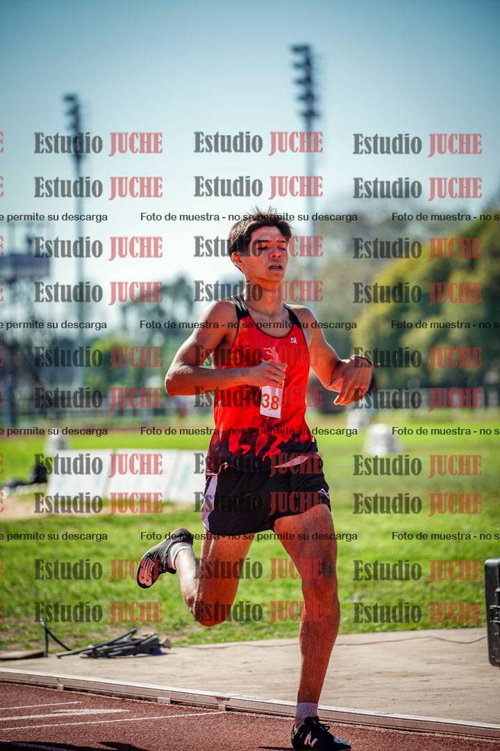 Fotos de los 800 m llanos de varones
