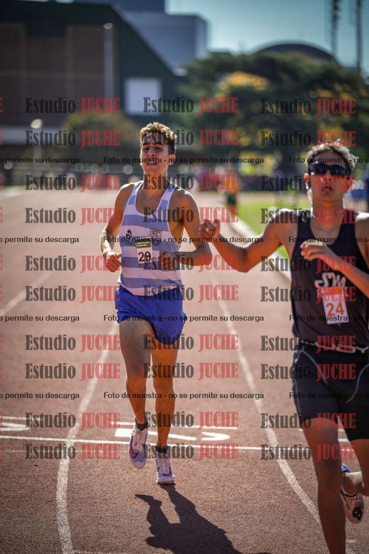 Fotos de los 800 m llanos de varones