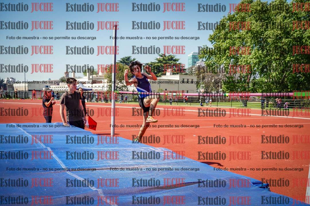 Fotos del salto en alto de varones