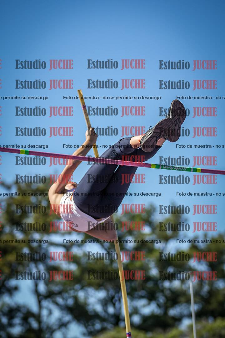 Fotos del salto con garrocha de mujeres