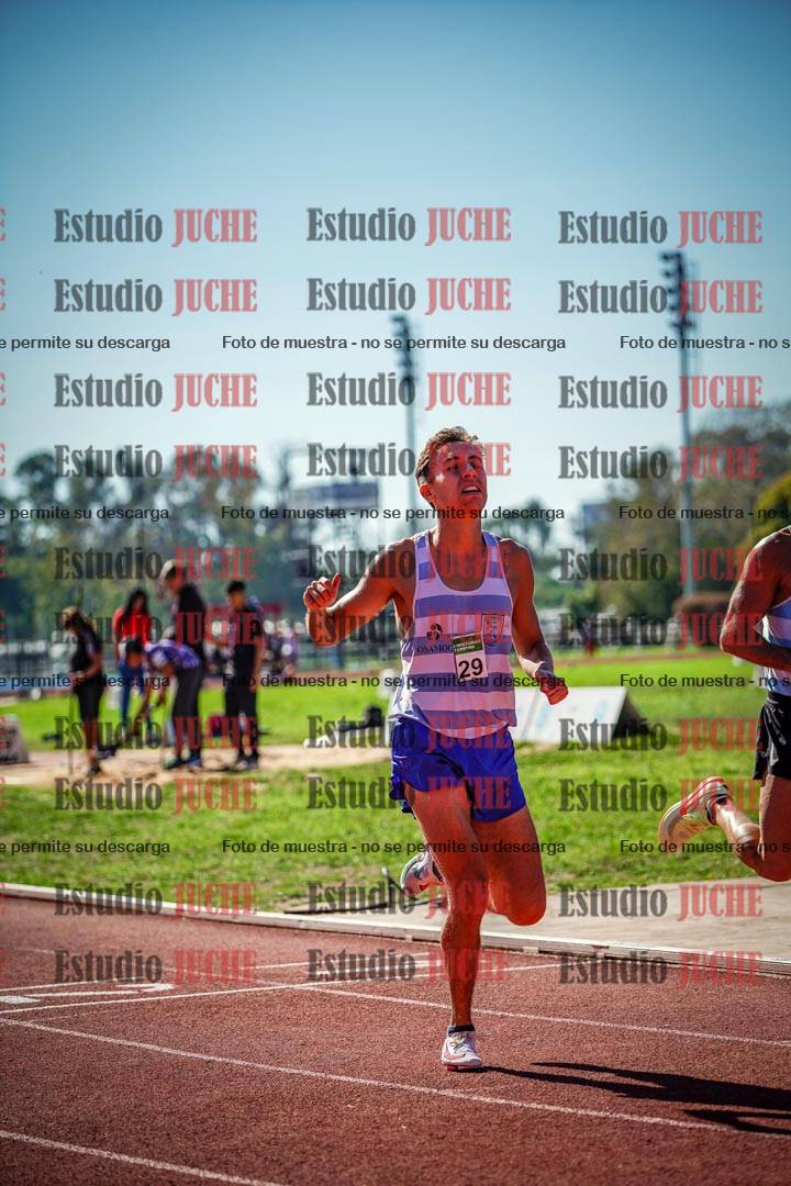 Fotos de los 800 m llanos de varones