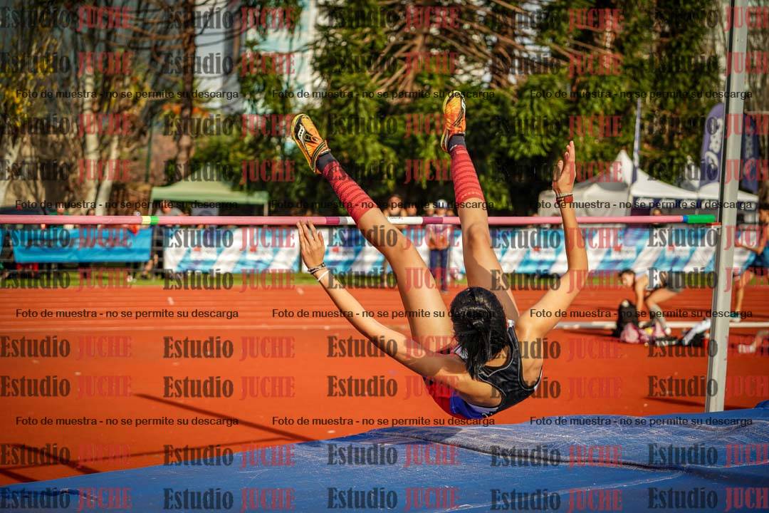 Fotos del salto en alto de mujeres