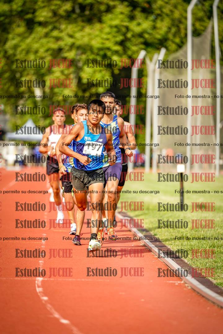Fotos de los 3000 m llanos de varones