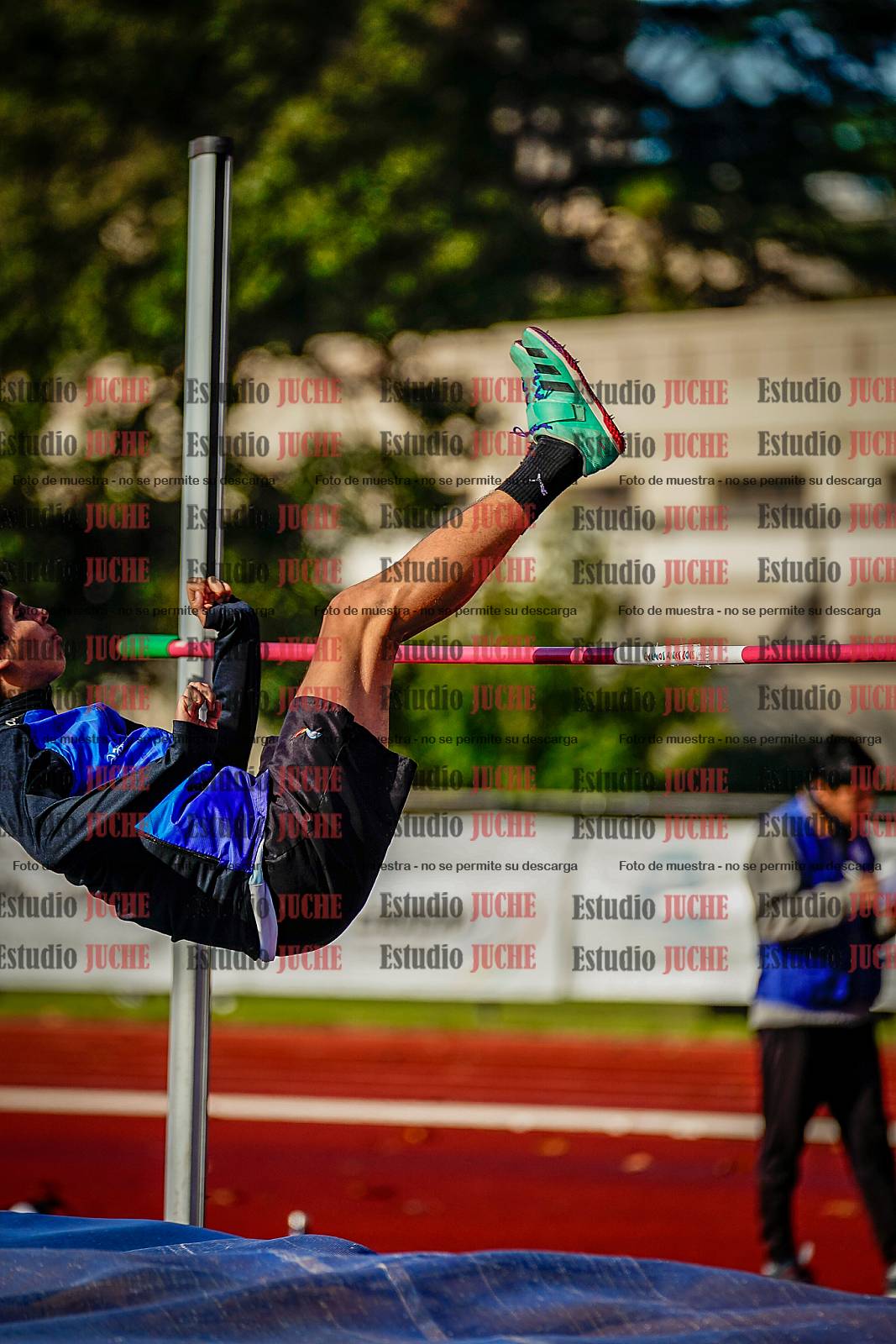 Fotos del salto en alto de varones
