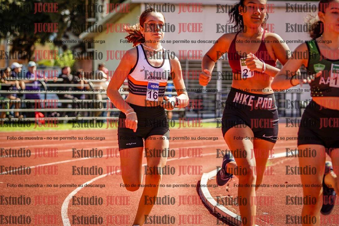 Fotos de los 600 m llanos de mujeres