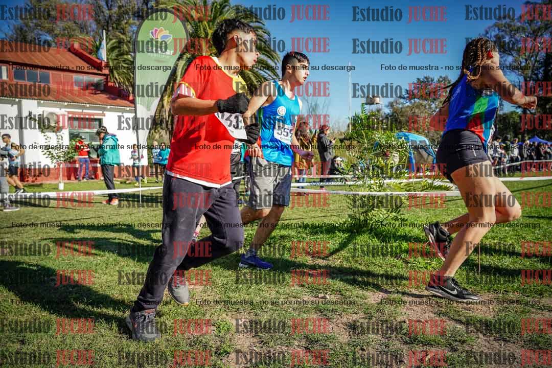 Fotos en el tercer punto del circuito