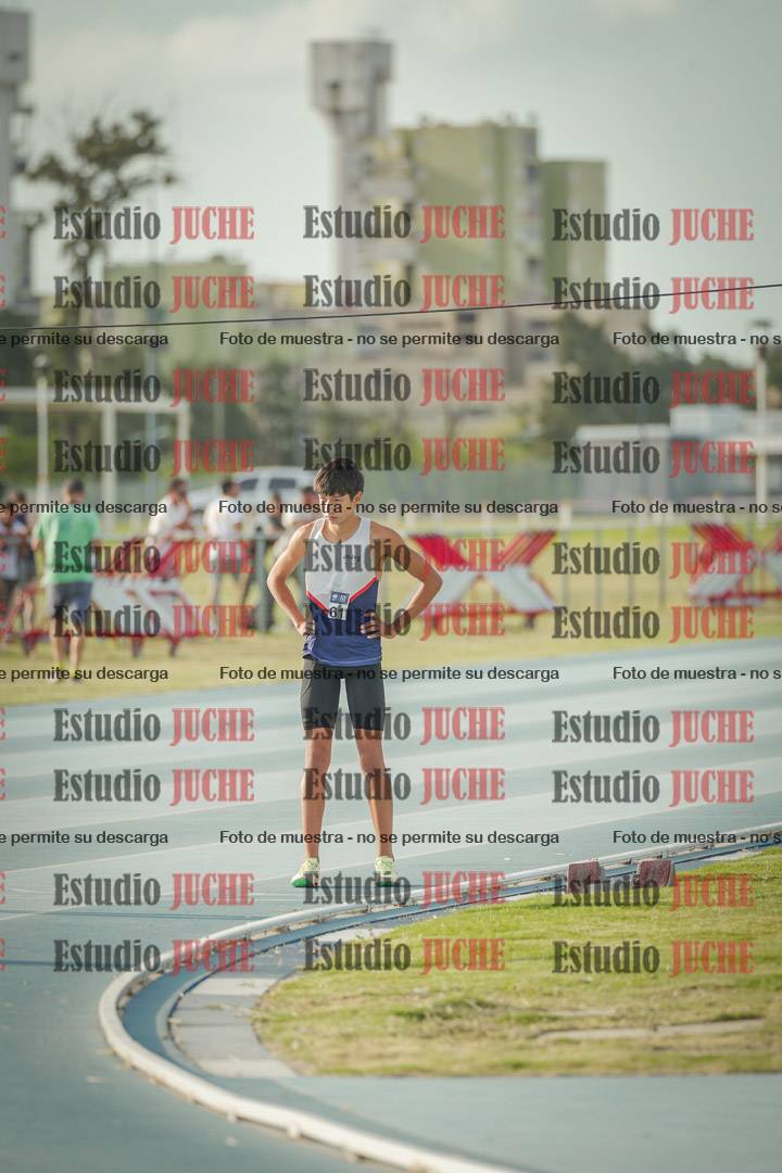 Fotos de los 800 m llanos de varones