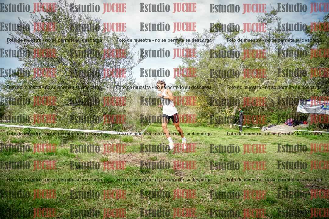 Fotos en el circuito