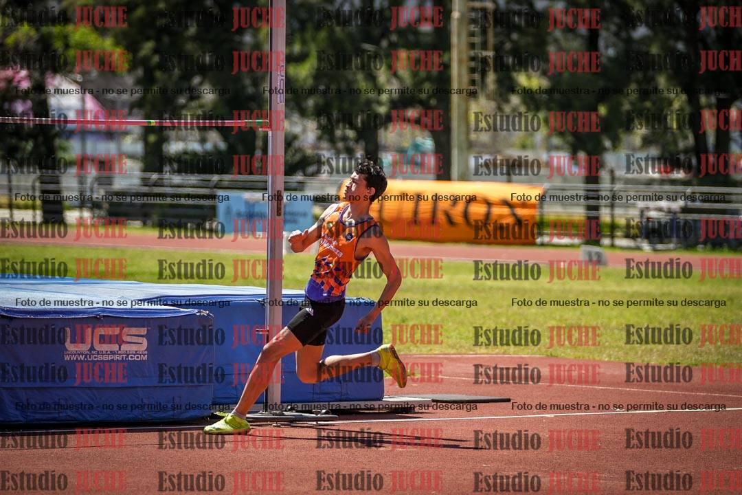 Fotos del salto en alto de varones