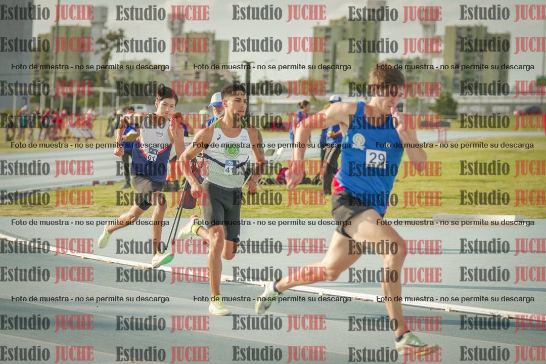 Fotos de los 800 m llanos de varones