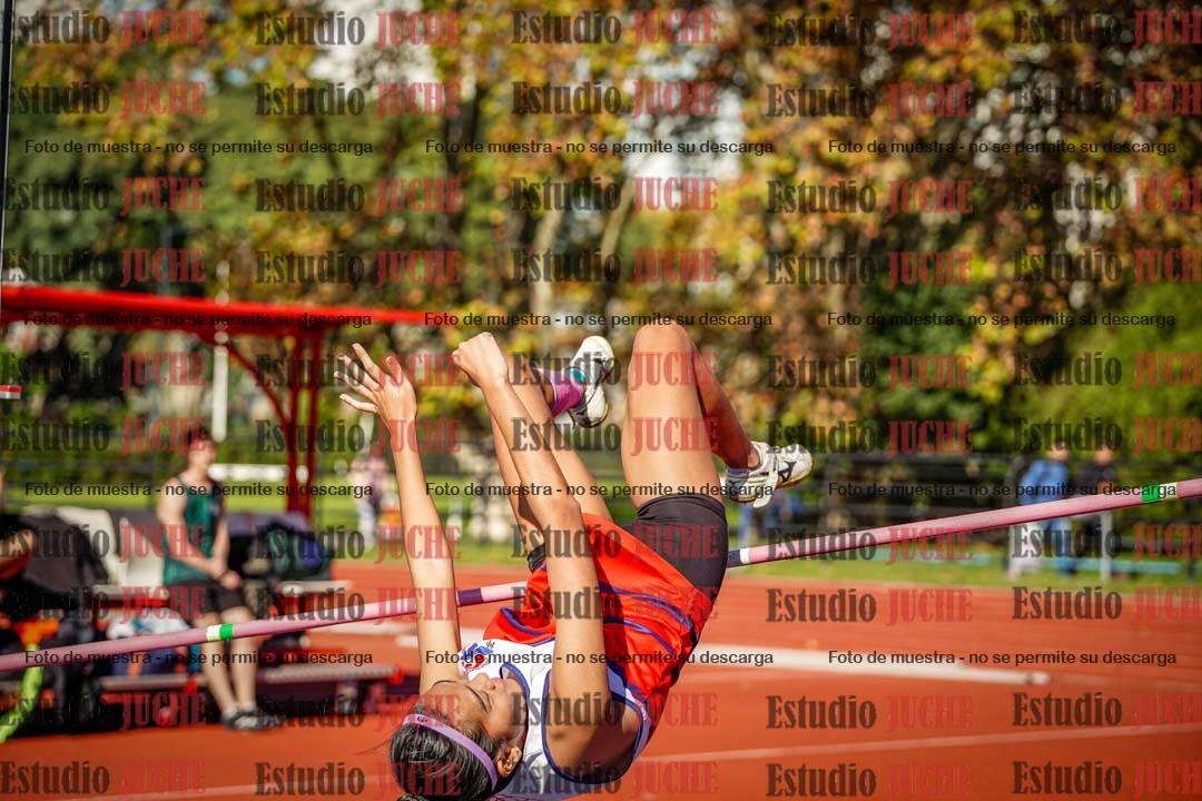 Fotos del salto en alto