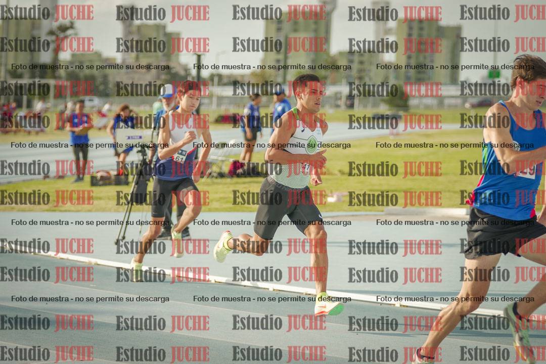 Fotos de los 800 m llanos de varones