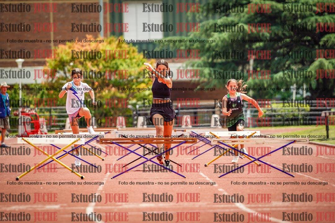 Fotos de los 60 m con vallas de mujeres