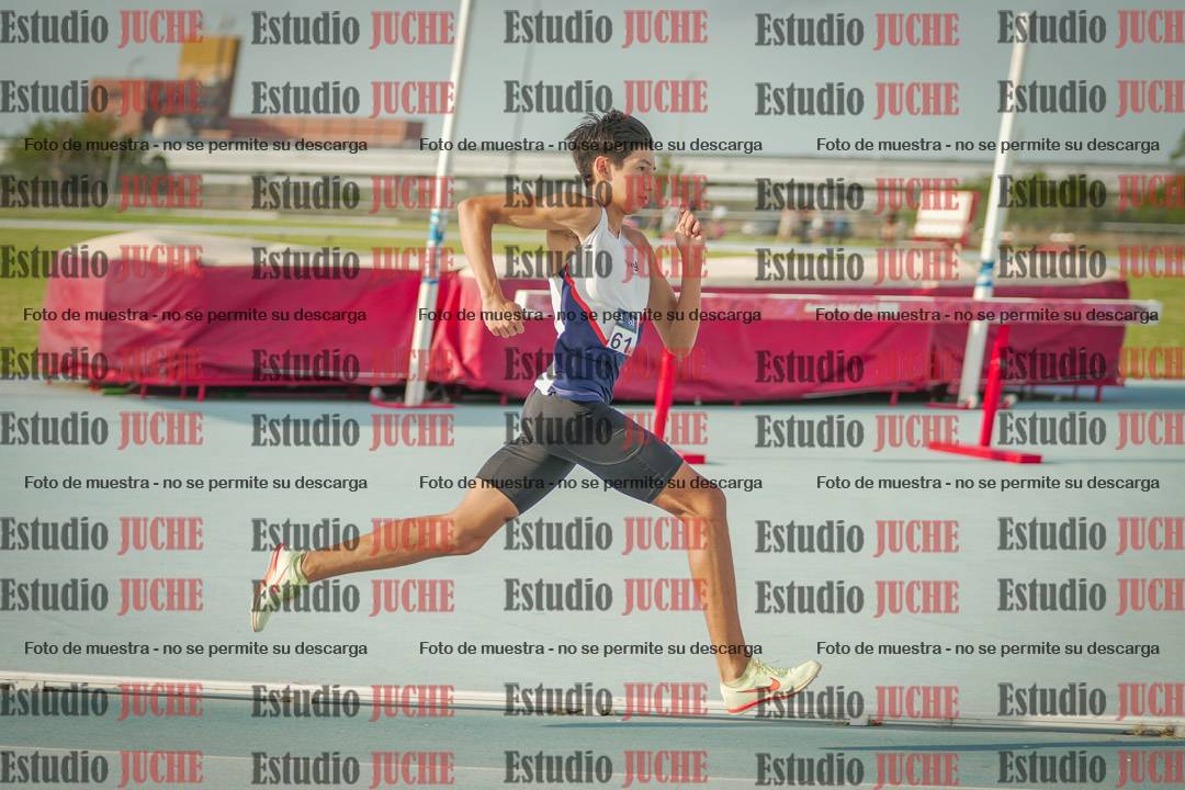 Fotos de los 800 m llanos de varones