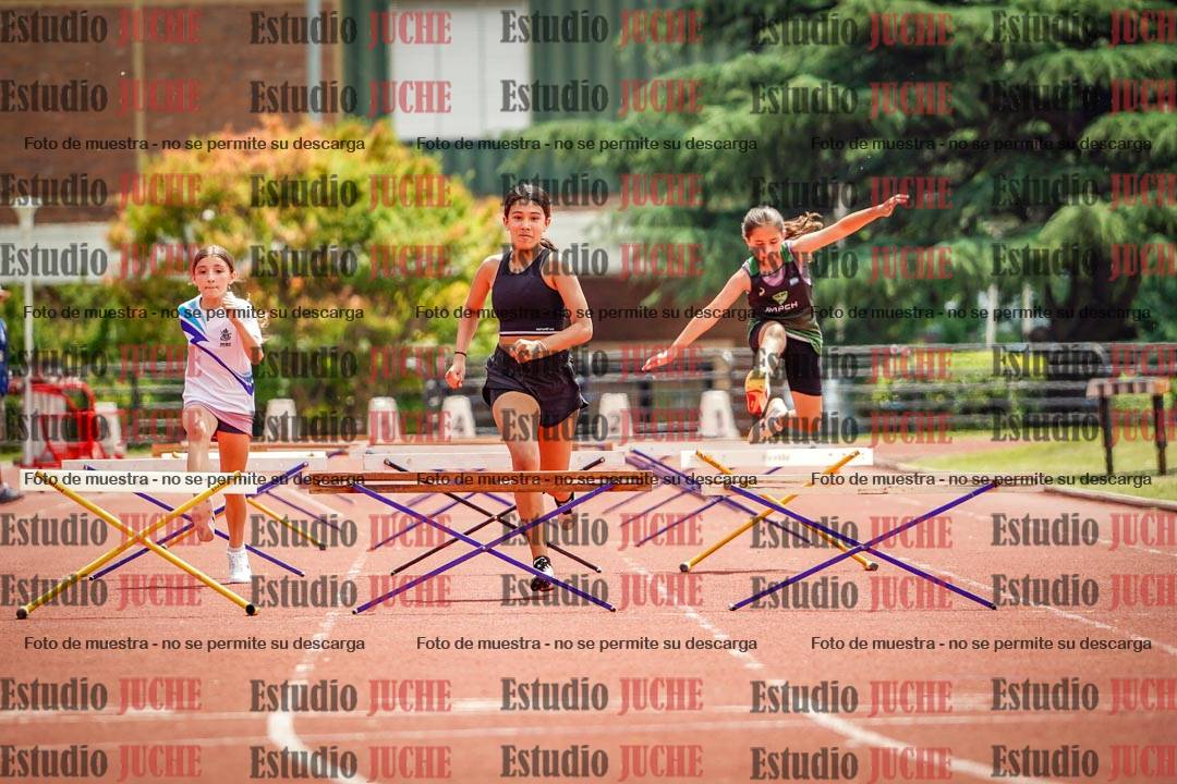 Fotos de los 60 m con vallas de mujeres