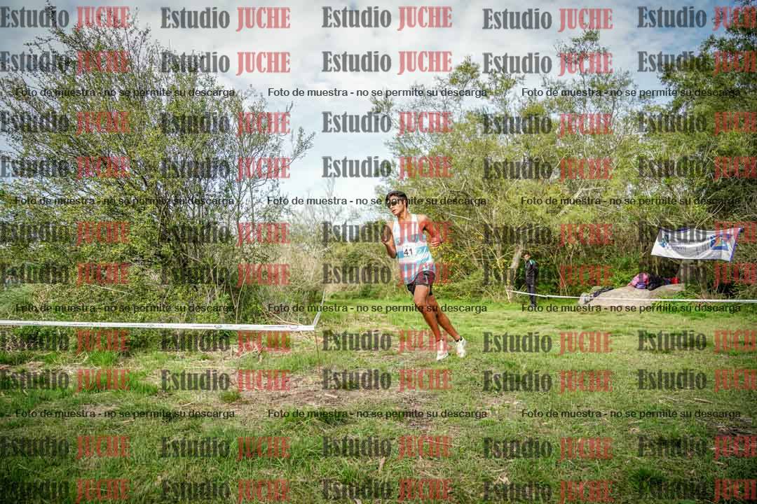 Fotos en el circuito