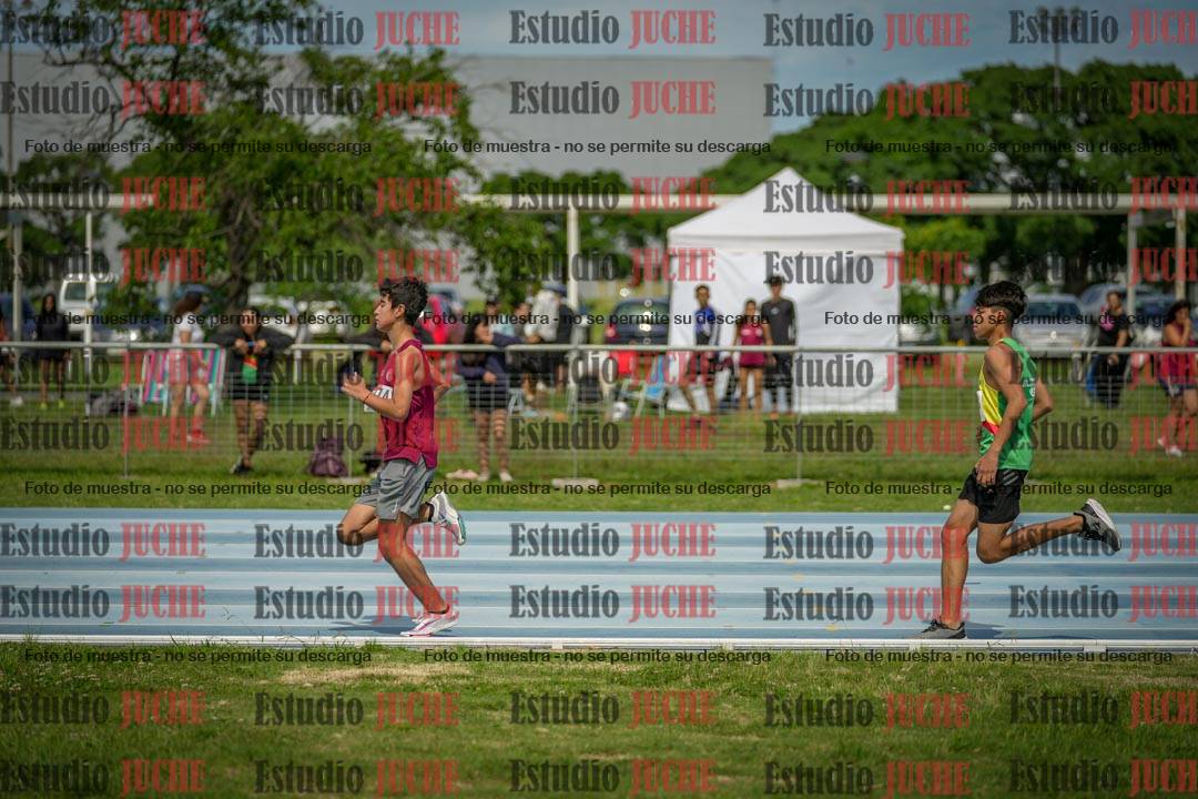 Fotos de los 1000 m llanos de varones