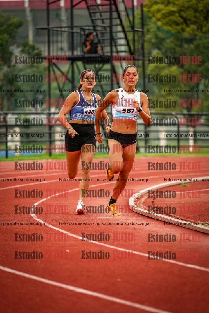 Fotos de los 800 m llanos de mujeres