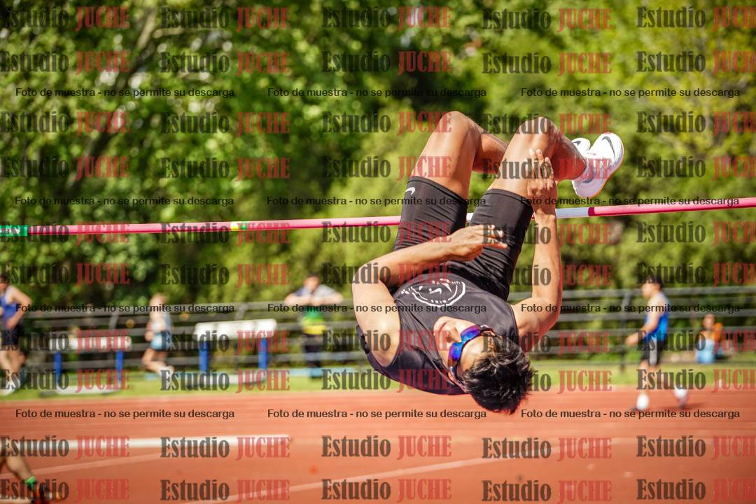 Fotos del salto en alto