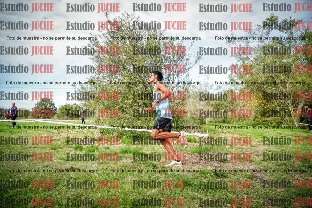 Fotos en el circuito