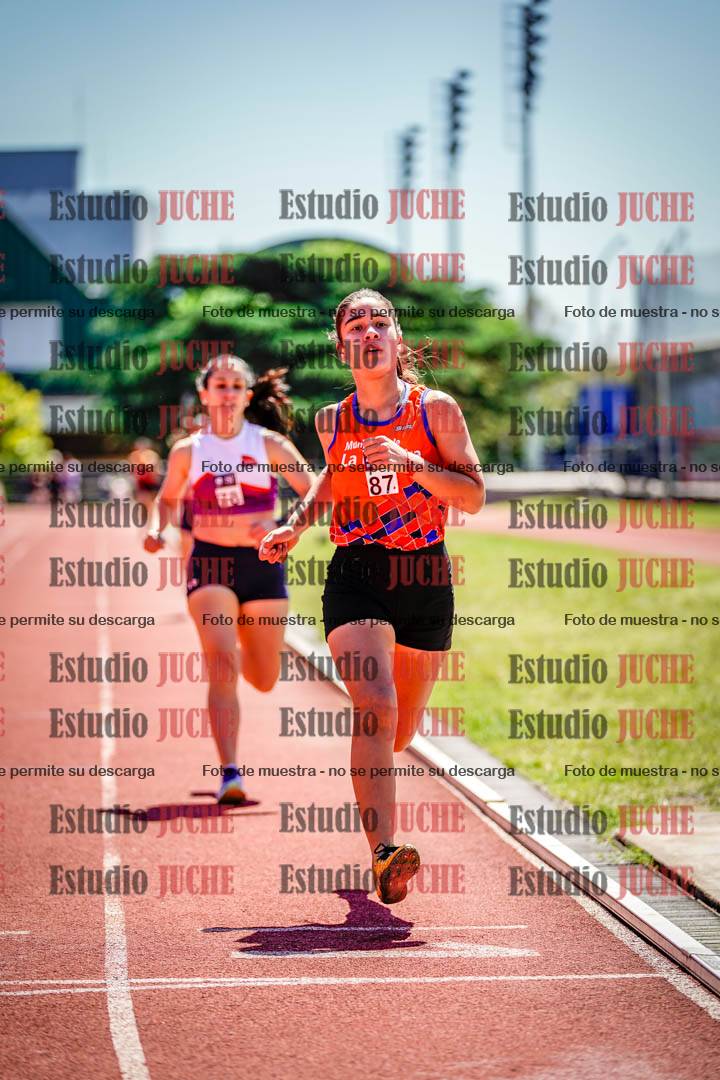 Fotos de los 800 m llanos de mujeres