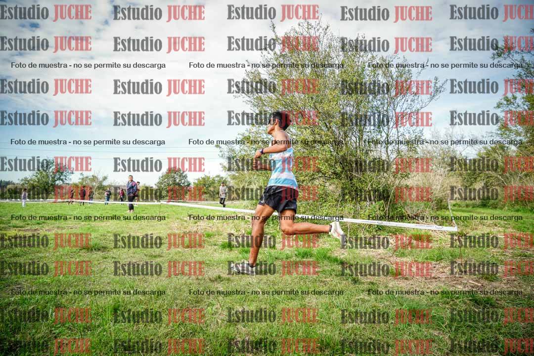 Fotos en el circuito