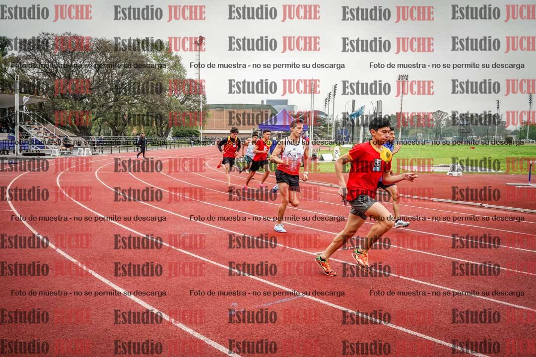 Fotos de los 800 m llanos de varones