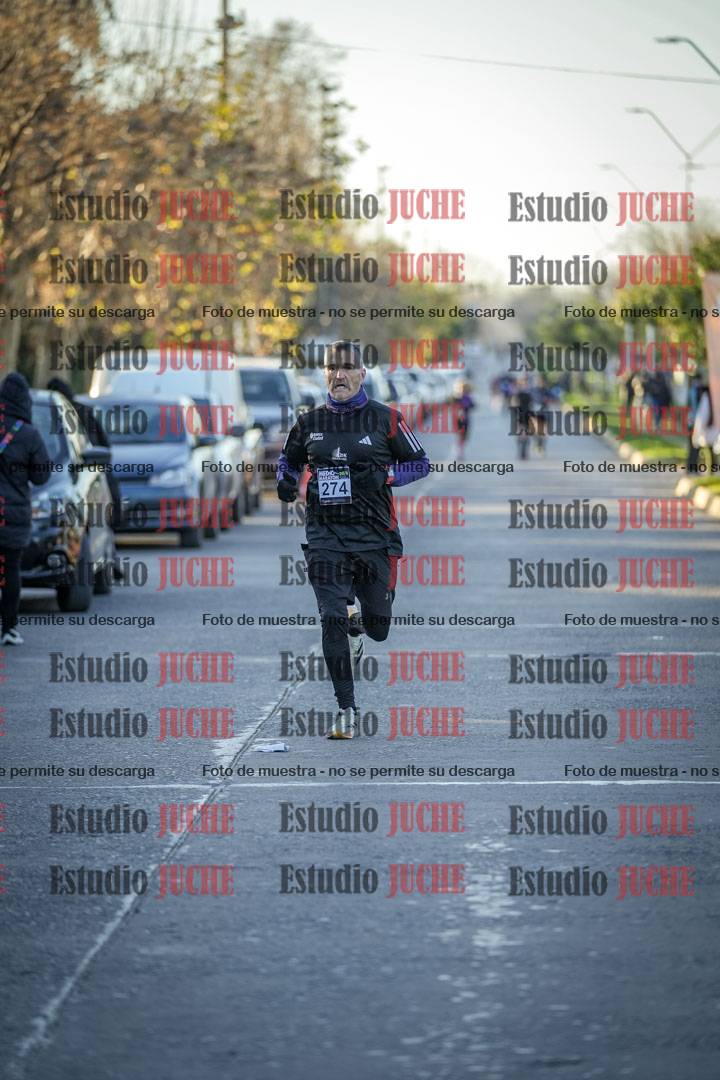 Fotos de las llegadas