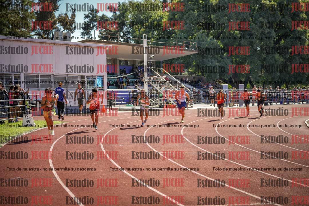 Fotos de los 800 m llanos de varones