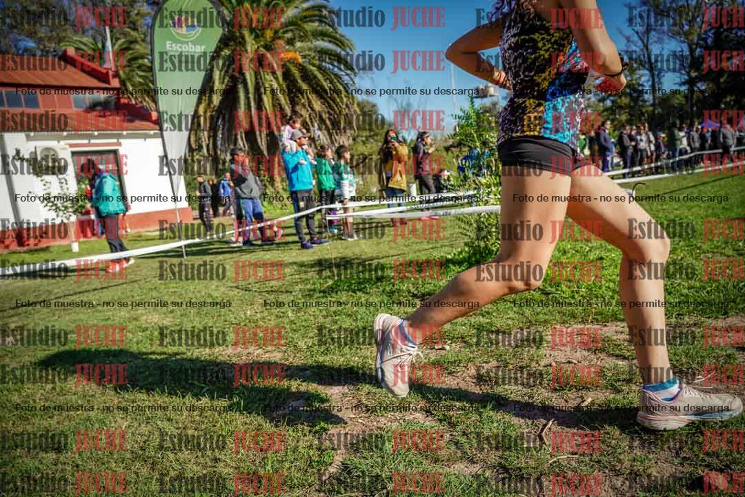 Fotos en el tercer punto del circuito